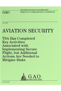 Aviation Security