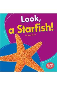 Look, a Starfish!