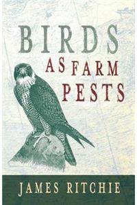 Birds as Farm Pests