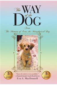 The Way of the Dog