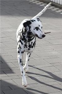 Happy Dalmatian Dog Going for a Walk Journal