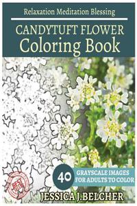 Candytuft Flower Coloring Book for Adults Relaxation Meditation Blessing