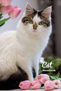 Cat Notebook