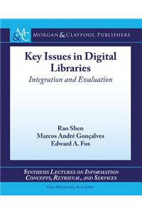 Key Issues Regarding Digital Libraries