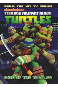 Teenage Mutant Ninja Turtles Animated Volume 1: Rise of the Turtles