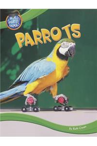 Parrots