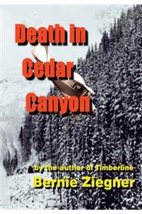 Death in Cedar Canyon