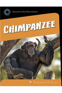 Chimpanzee