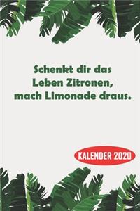Schenkt dir das Leben Zitronen, mach Limonade draus.