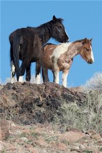 Two Wild Horses in the High Desert Journal