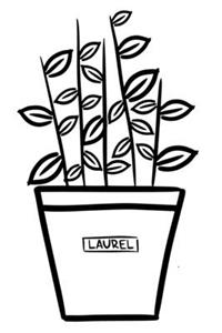 Laurel Notebook