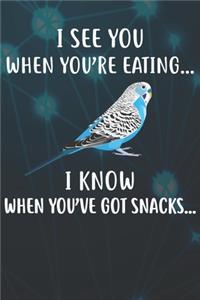 I See You When You're Eating I Know When You've Got Snacks Notebook Journal