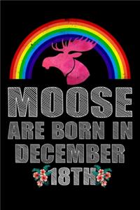 Moose Are Born In December 18th