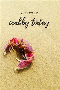 A Little Crabby Today: The perfect cute crab on a sandy beach blank lined journal to write about your moods, feelings, emotions, thoughts or journeys.