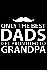 Only The Best Dads Get Promoted To Grandpa