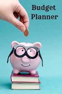 budget log book