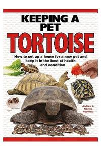 Keeping a Pet Tortoise