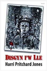 Disgyn i'w Lle