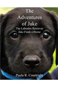 Adventure of Jake the Labrador Retriever