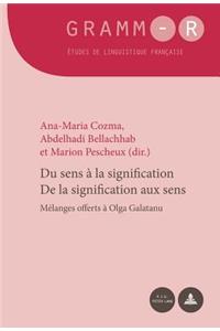 Du Sens À La Signification / de la Signification Aux Sens