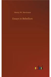 Essays in Rebellion