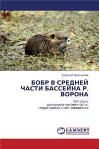 Bobr V Sredney Chasti Basseyna R. Vorona