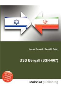 USS Bergall (Ssn-667)