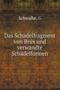 Das Schadelfragment von Brux und verwandte Schadelformen