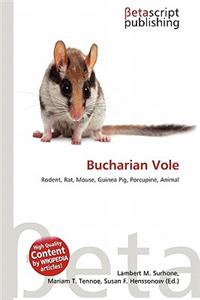 Bucharian Vole