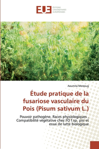 Étude pratique de la fusariose vasculaire du Pois (Pisum sativum L.)