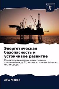 Энергетическая безопасность и устойчив