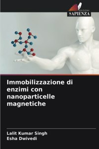 Immobilizzazione di enzimi con nanoparticelle magnetiche