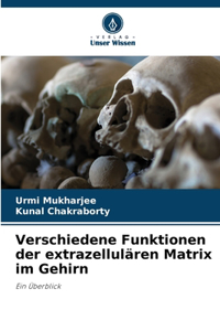 Verschiedene Funktionen der extrazellulären Matrix im Gehirn