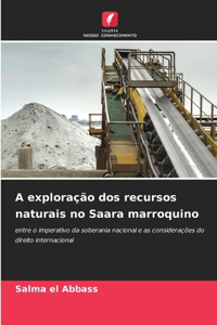 A exploração dos recursos naturais no Saara marroquino