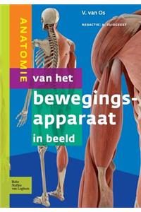 Anatomie Van Het Bewegingsapparaat in Beeld