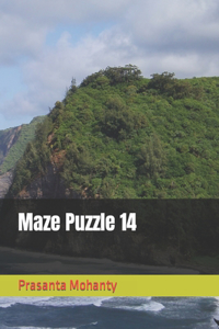 Maze Puzzle 14