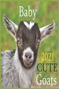 CUTE Baby Goats 2021