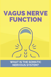Vagus Nerve Function