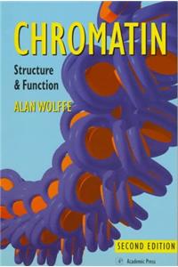 Chromatin: Structure and Function