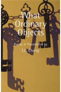 What Ordinary Objects