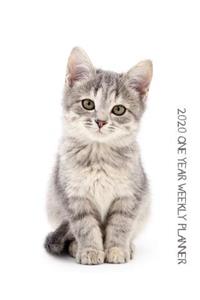 2020 One Year Weekly Planner