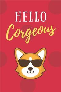 Hello Corgeous