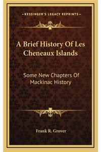 A Brief History Of Les Cheneaux Islands