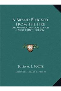 A Brand Plucked from the Fire