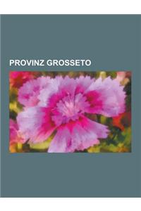 Provinz Grosseto: Grosseto, Massa Marittima, Gavorrano, Monte Argentario, Follonica, Talamone, Orbetello, Castiglione Della Pescaia, San