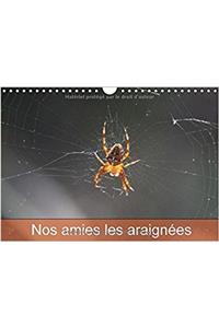 Nos Amies Les Araignees 2018