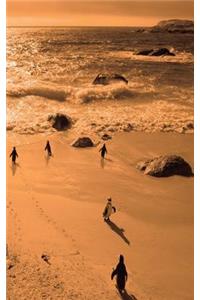 Alive! little penguin friends - Orange duotone - Photo Art Notebooks (5 x 8 series)