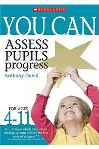 Assess Pupils' Progress Ages 4-11