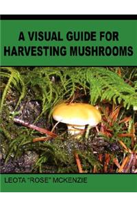 Visual Guide for Harvesting Mushrooms