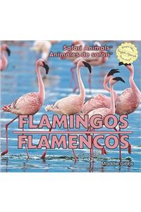 Flamingos / Flamencos